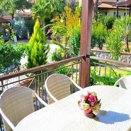 Olive 8 *